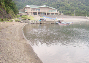 「しきみ」の近くの海辺